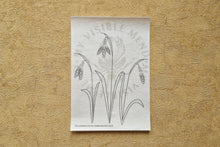 Last inn bildet i Galleri-visningsprogrammet, Vannløselige broderimaler: Vårblomster (6stk)