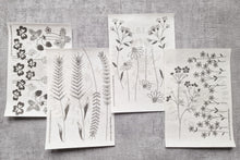 Last inn bildet i Galleri-visningsprogrammet, Vannløselige broderimaler:  Markblomst (6stk)