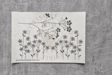 Last inn bildet i Galleri-visningsprogrammet, Vannløselige broderimaler:  Markblomst (6stk)