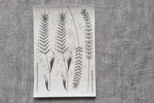 Last inn bildet i Galleri-visningsprogrammet, Vannløselige broderimaler:  Markblomst (6stk)