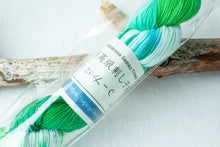 Last inn bildet i Galleri-visningsprogrammet, Tradisjonell SashikotrÄd, Japansk, flerfarget, 145m