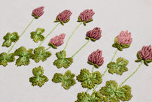 Load image into Gallery viewer, Broderisett: Rødkløver, med La Humla Suse