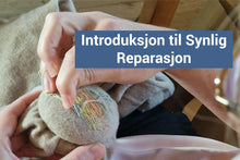 Last inn bildet i Galleri-visningsprogrammet, Webinar uten materialpakker