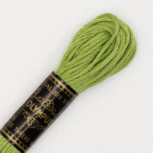 Last inn bildet i Galleri-visningsprogrammet, Forhåndssalg: Moulinégarn, broderitråd, Olympus fargenr 200-2502 (grønne)