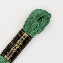 Last inn bildet i Galleri-visningsprogrammet, Forhåndssalg: Moulinégarn, broderitråd, Olympus fargenr 200-2502 (grønne)