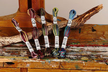 Last inn bildet i Galleri-visningsprogrammet, DMC Moulinégarn, broderitrÄd, coloris, flerfarget
