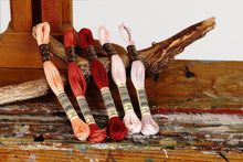 Load image into Gallery viewer, Broderitråd, ensfarget, DMC, Farge 01 - 169