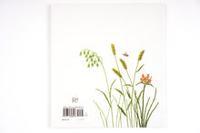 Last inn bildet i Galleri-visningsprogrammet, Bok, Embroidered Wildflowers, Kazuko Aoki, (Engelsk)