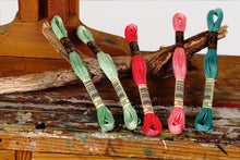Last inn bildet i Galleri-visningsprogrammet, BroderitrÄd, ensfarget, DMC, Farge 954 - 3685