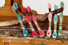 Last inn bildet i Galleri-visningsprogrammet, BroderitrÄd, ensfarget, DMC, Farge 954 - 3685