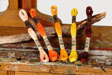 Last inn bildet i Galleri-visningsprogrammet, BroderitrÄd, ensfarget, DMC, Farge 954 - 3685