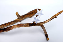 Last inn bildet i Galleri-visningsprogrammet, Strykemerke, Stjerner 2 stk, maritime, 3 cm