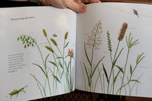 Last inn bildet i Galleri-visningsprogrammet, Bok, Embroidered Wildflowers, Kazuko Aoki, (Engelsk)