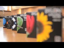 Last inn og spill av video i Gallerivisningen, Tekstilfarge, DYLON, maskinfarge, all in one