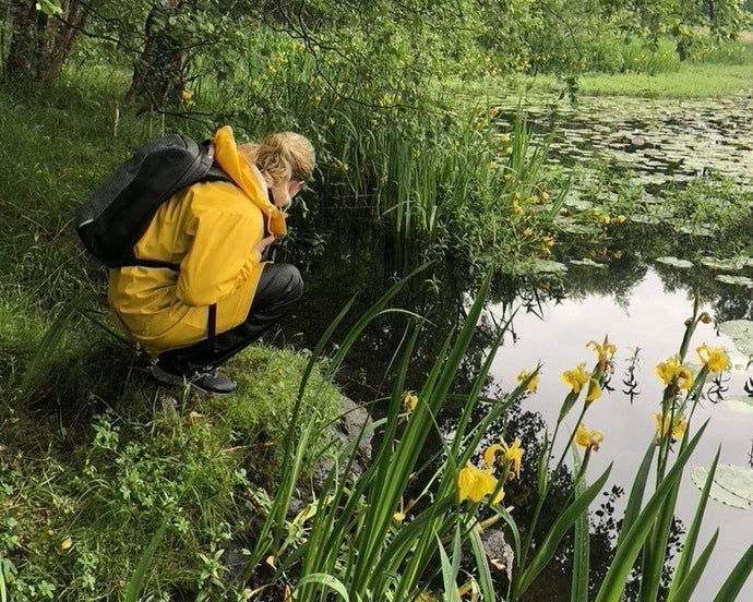 Skog og Mose Naturopplevelser