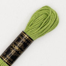Last inn bildet i Galleri-visningsprogrammet, Forhåndssalg:  Moulinégarn, broderitråd, Olympus fargenr 200-2502 (grønne)
