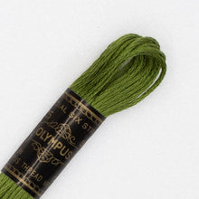 Last inn bildet i Galleri-visningsprogrammet, Forhåndssalg:  Moulinégarn, broderitråd, Olympus fargenr 200-2502 (grønne)
