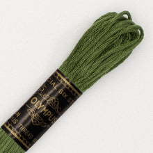 Last inn bildet i Galleri-visningsprogrammet, Forhåndssalg:  Moulinégarn, broderitråd, Olympus fargenr 200-2502 (grønne)
