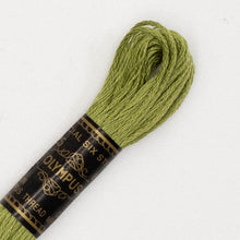 Last inn bildet i Galleri-visningsprogrammet, Forhåndssalg:  Moulinégarn, broderitråd, Olympus fargenr 200-2502 (grønne)
