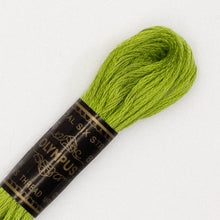 Last inn bildet i Galleri-visningsprogrammet, Forhåndssalg:  Moulinégarn, broderitråd, Olympus fargenr 200-2502 (grønne)

