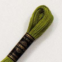 Last inn bildet i Galleri-visningsprogrammet, Forhåndssalg:  Moulinégarn, broderitråd, Olympus fargenr 200-2502 (grønne)
