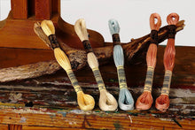 Load image into Gallery viewer, Broderitråd, ensfarget, DMC, Farge 699 - 819
