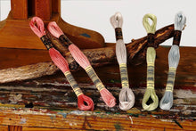 Load image into Gallery viewer, Broderitråd, ensfarget, DMC, Farge 699 - 819
